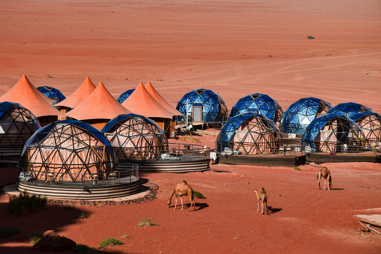 Modern geodesic domes set in an arid desert landscape, accompanied by camels under a clear sky.