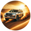 Desert Safari logo
